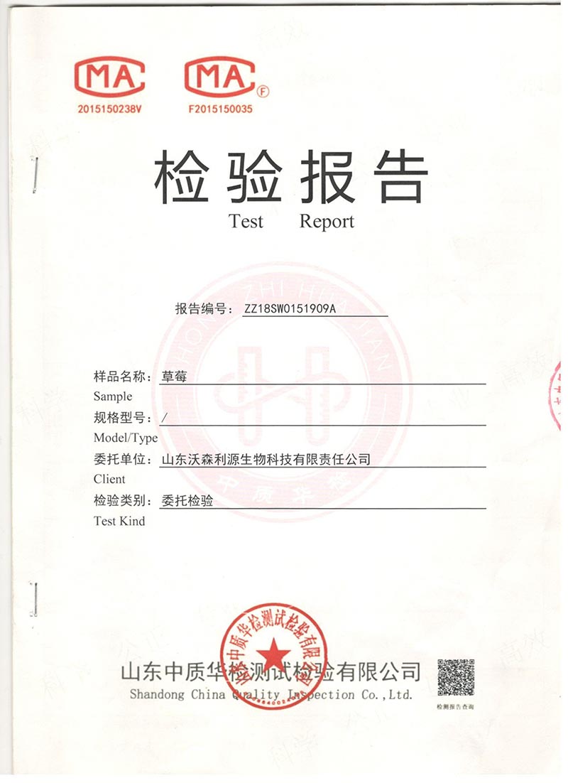 草莓檢測報告(對照)