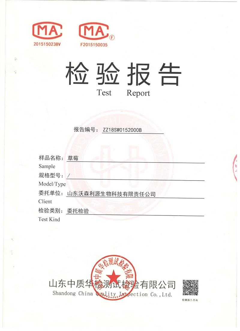 草莓檢測報告(試用組)