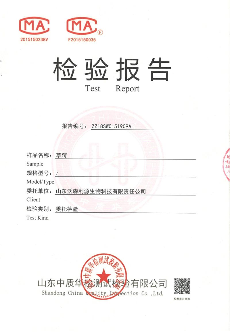 草莓檢驗報告（未使用改良液）