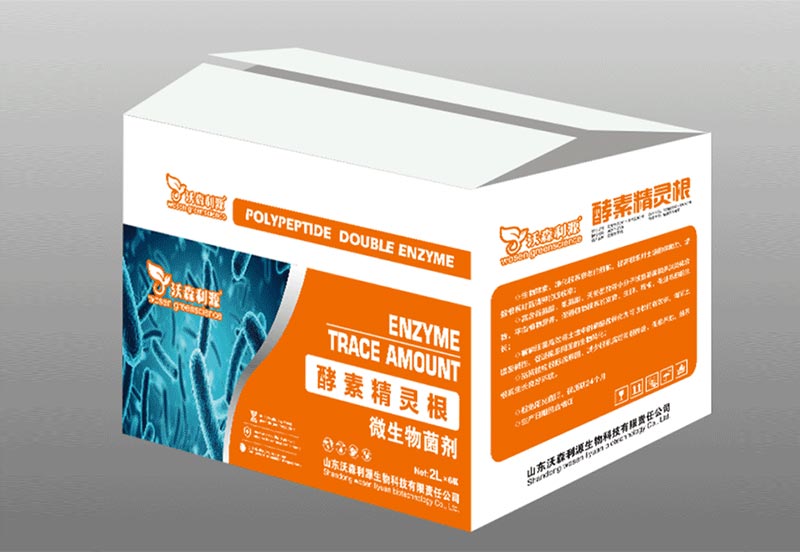 酵素精靈根