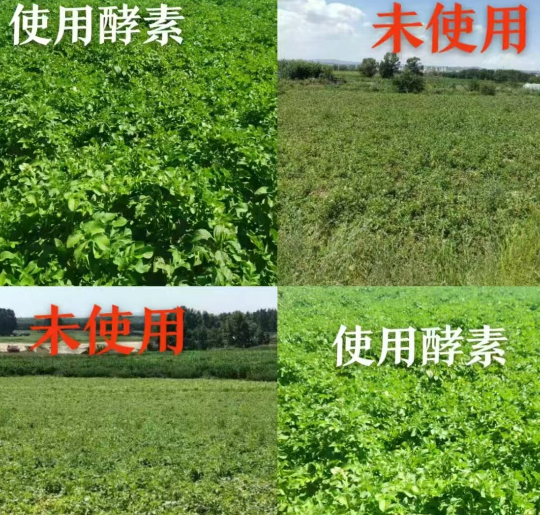 使用產(chǎn)品前后對比